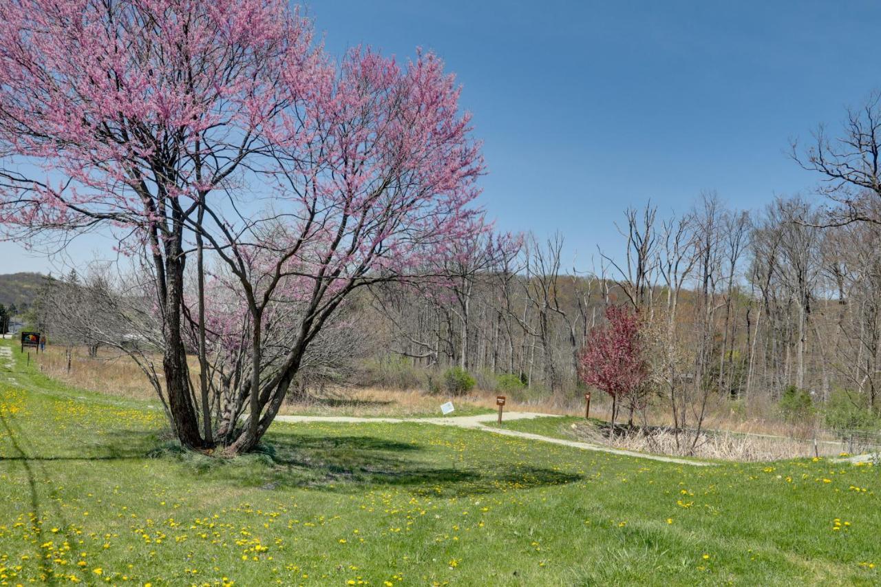 Pet-Friendly Pennsylvania Vacation Rental With Pool! Laughlintown Dış mekan fotoğraf